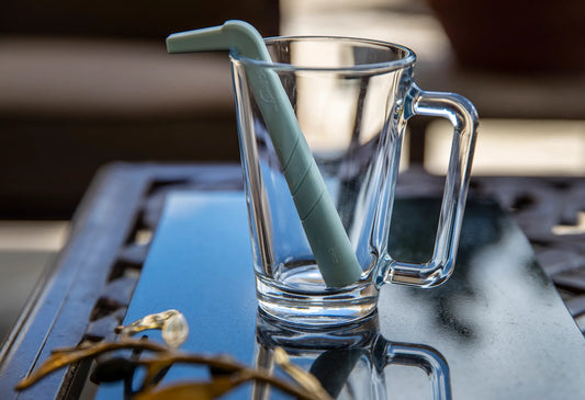 A New Year to Serve - Hiccaway Straw on the Go